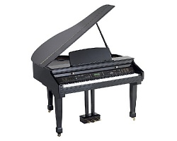 Orla Grand 450 Цифровой рояль 